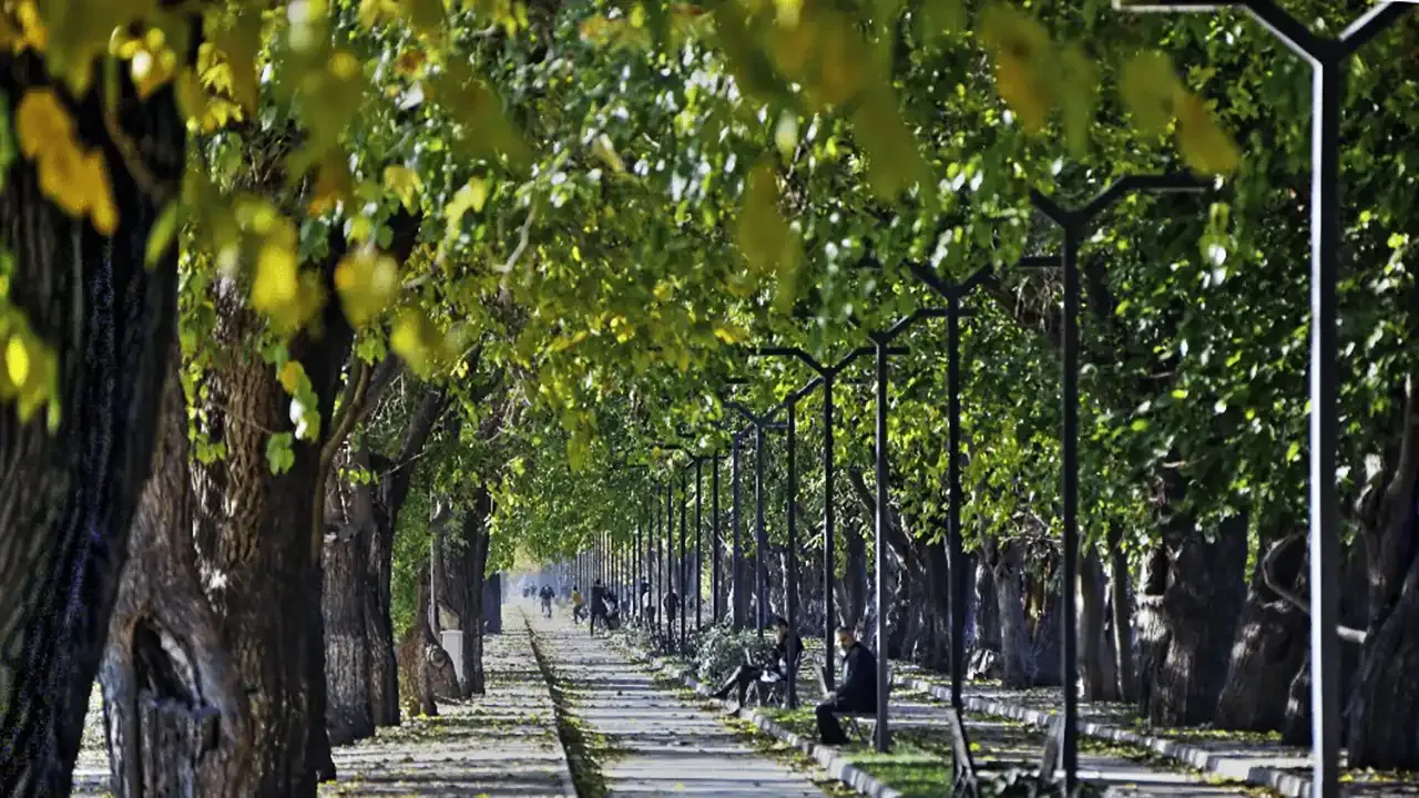 İzmir’de doğayla iç içe yürüyüş: Dutlu Yol