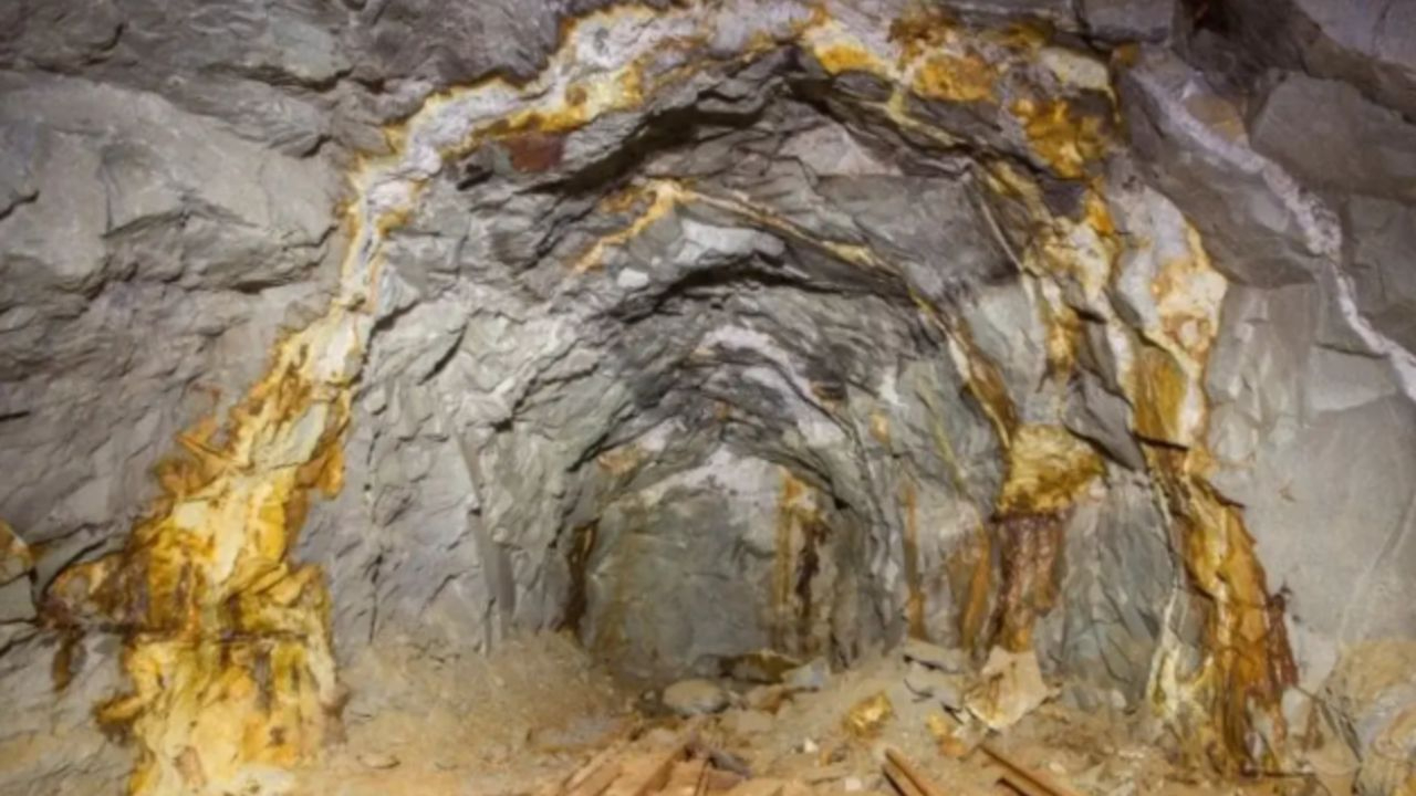 Özbekistan’daki altın madeni rekor fiyata satıldı