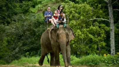 Tayland’tan dev turizm kampanyası: Ücretsiz uçuş