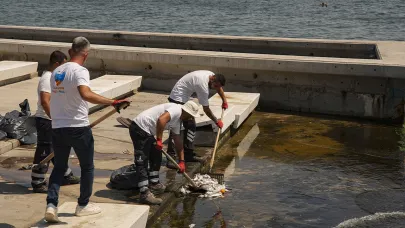 Kirlilik İzmir Körfezi’ni tehdit ediyor