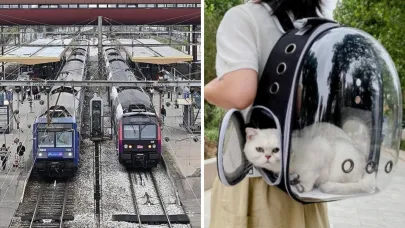 Fransa treninde kedi miyavladı, yolcuya ceza