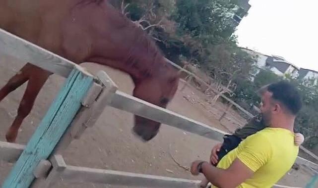 Antalya’da korku dolu anlar: At küçük çocuğa saldırdı