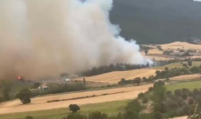 Bursa Yenişehir’de orman yangını paniği