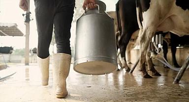 Çiğ süt sözleşmelerinde uyuşmazlıklar tahkimle çözülecek