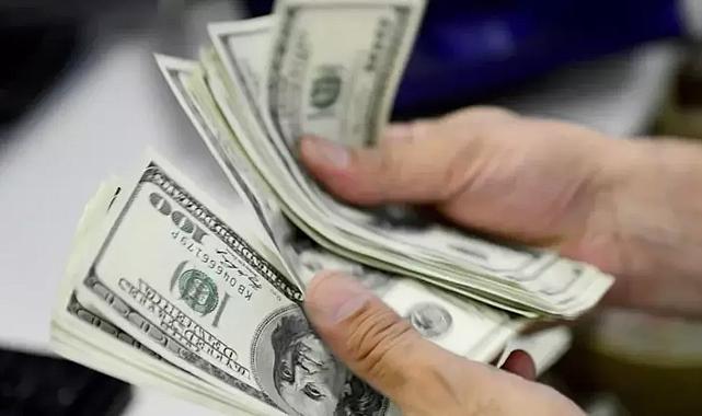 Döviz mevduatları 4.6 milyar dolar arttı