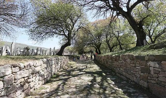 İzmir&#039;de sit kararları!