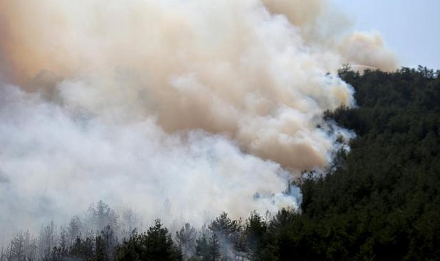 Karabük'te orman yangını yeniden başladı