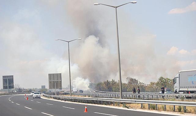 Kırklareli’nde orman yangını: Otoyol kapatıldı