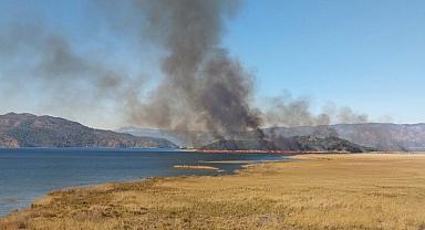 Muğla'da sazlık yangını kontrol altına alındı 
