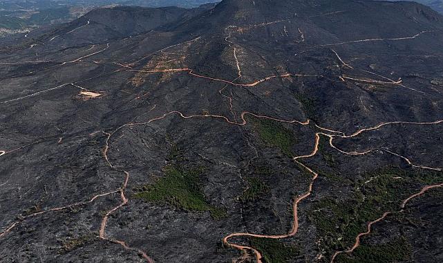 Seferihisar yangınına ihmal sebep oldu: Rapor açıklandı