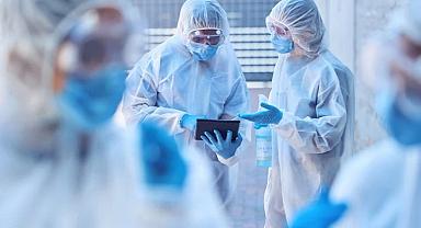  Sinsi virüs M çiçeği yayılıyor 