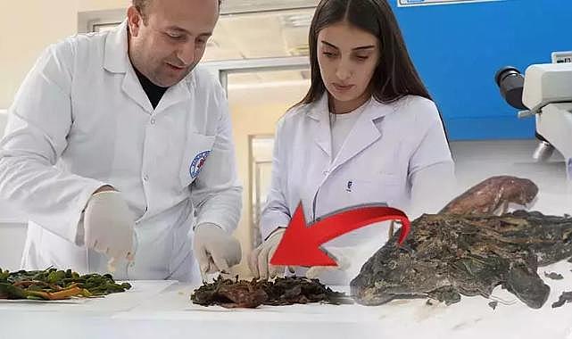 Şırnak’tan Alzheimer, diyabet ve glokomda yeni tedavi