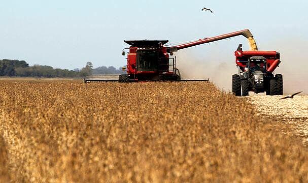 Soya üreticisine ek destek ödemesi