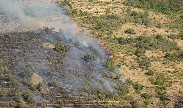 Tekirdağ’da makilik alanda yangın paniği