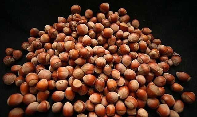 TMO 2025 fındık alım fiyatlarını açıkladı