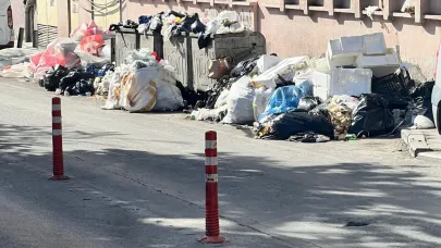 Çöp kokusu İzmir’i sardı, vatandaş tepkili