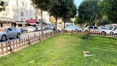 16 Yaşındaki Kız ve Annesi Tartıştıkları Kişiyi Bıçakladı
