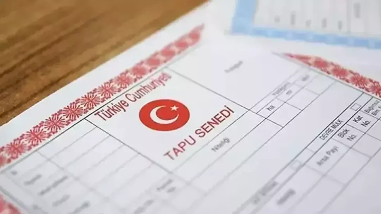 Otomatik Taslak