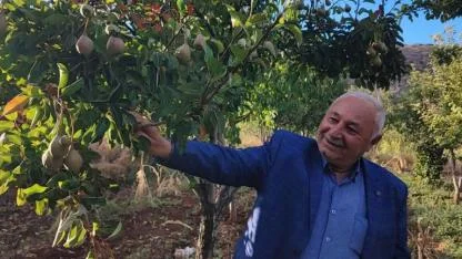 Doğa tersine döndü: Elma ve armut ekimde meyveye durdu
