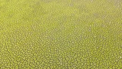 İstanbul için kıyamet senaryosu: Bu şekilde yaza girersek felaket olur