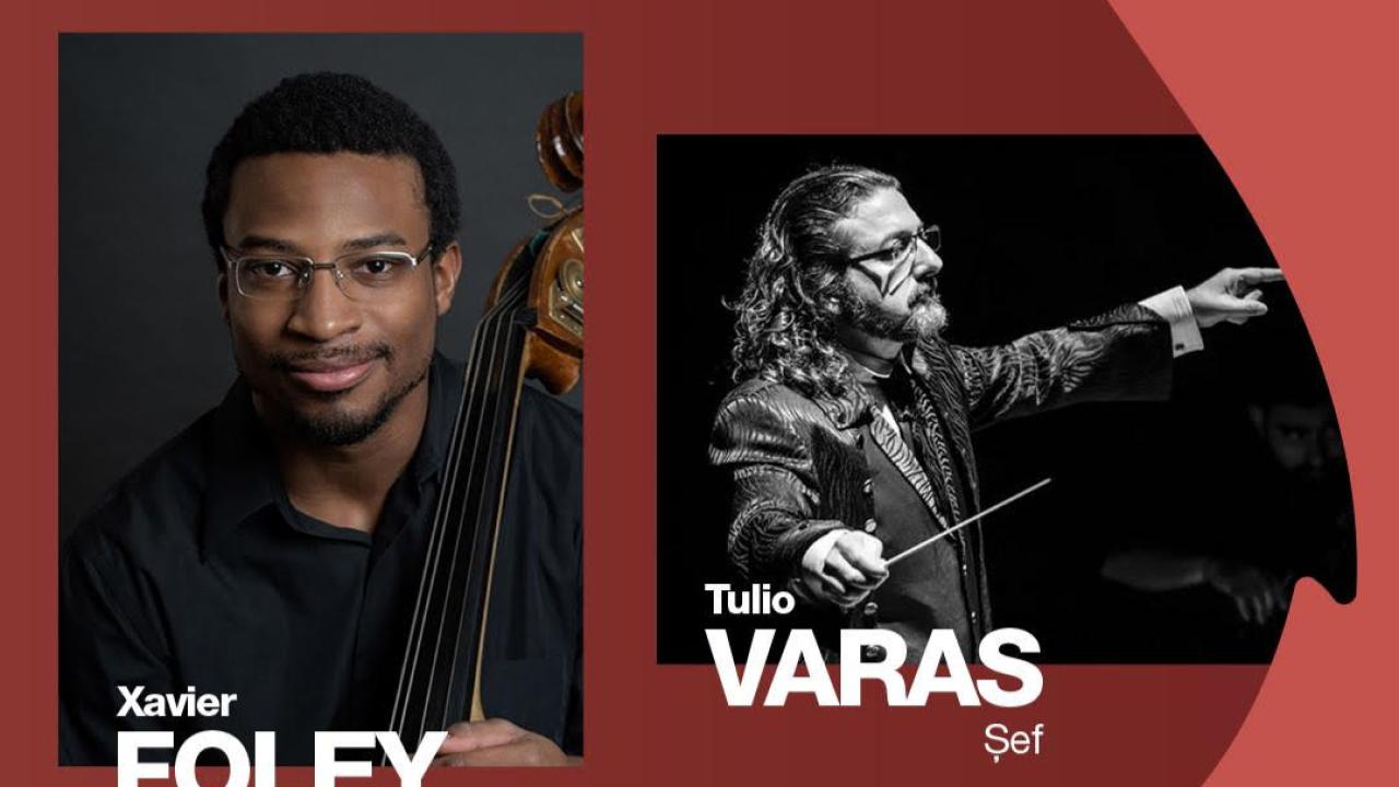 İzmir Devlet Senfoni Orkestrası