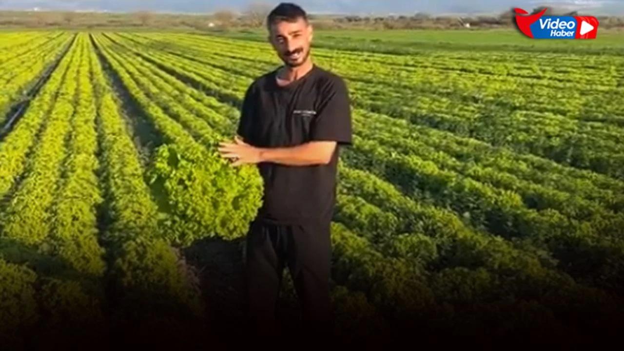 İzmirli çiftçi isyan etti: 2 lira fiyat veriyorlar, satarsam şerefsizim!