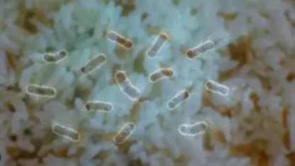 Masum görünen pirinçteki büyük tehlike: Tabip Odası uyardı