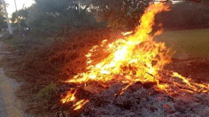Muğla'da çıkan orman yangınları erken müdahale ile kontrol altında