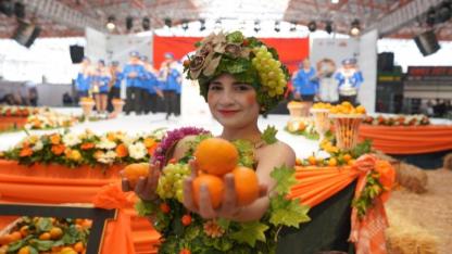 Seferihisar Belediyesi'nin düzenlediği Mandalina Şenliği, bu yıl 25’inci kez düzenlenecek