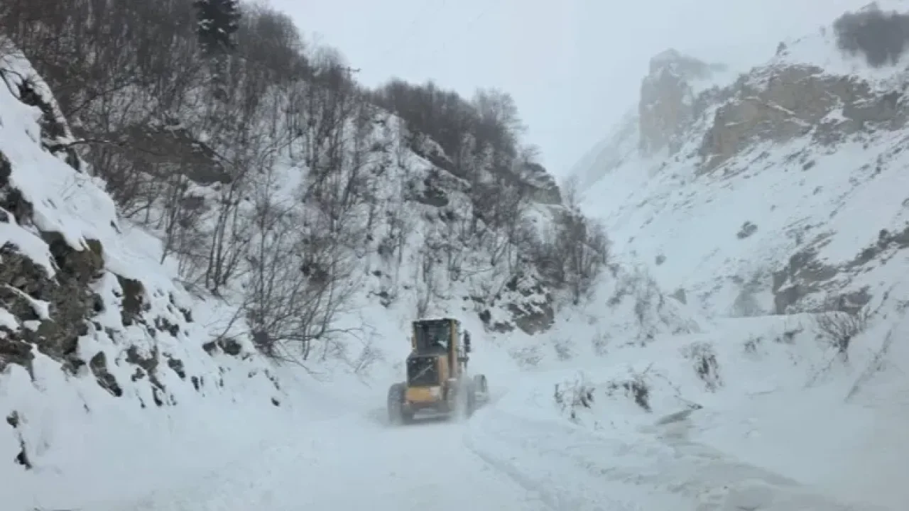 Artvin Ardanuç’ta çığ düştü: 3 çobanın enkaz altında kaldığı iddia edildi