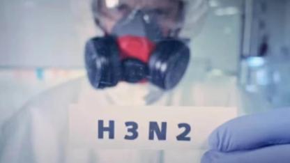 Avrupa'dan sonra Türkiye'de tehdit altında! Ölümlere neden oluyor.