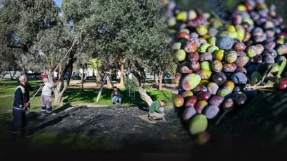 Bornova'da zeytinyağları ihtiyaç sahipleri için raflarda yerini aldı!