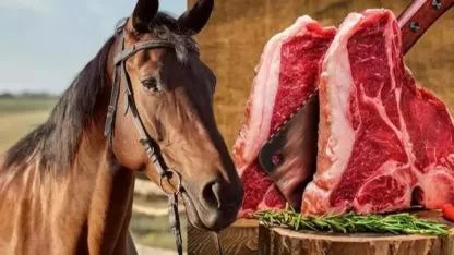 İzmir’de sucuk skandalı: Dana sucukta tek tırnaklı eti tespit edildi