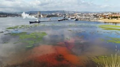 Cemil Tugay: Körfez’i liman ve tersaneler kirletiyor, müdahale etmemize izin verilmiyor