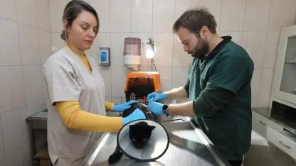 Gaziemir Belediyesi’nden sokak hayvanlarına umut olan hizmet