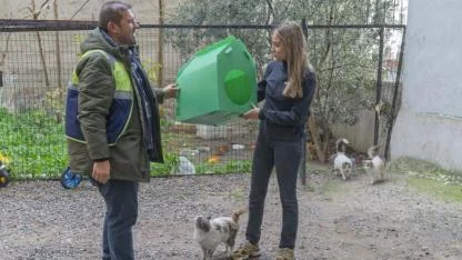 İzmir Büyükşehir’den sokak kedilerine sıcak yuva: Portatif kedi evleri mahallelere ulaştırılıyor