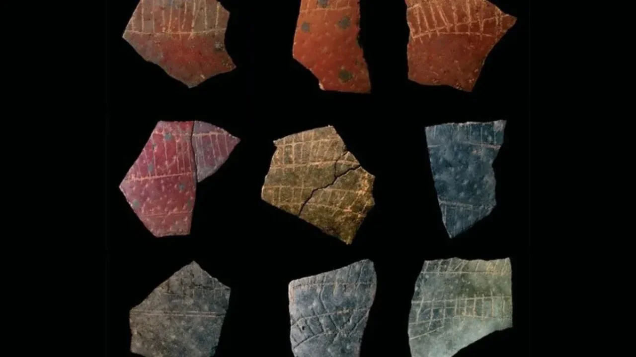 60 Bin Yıllık Devekuşu Yumurtalarında Geometrik Desenler Keşfedildi