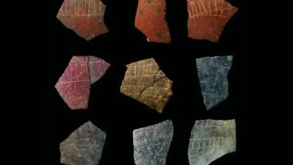 60 Bin Yıllık Devekuşu Yumurtalarında Geometrik Desenler Keşfedildi