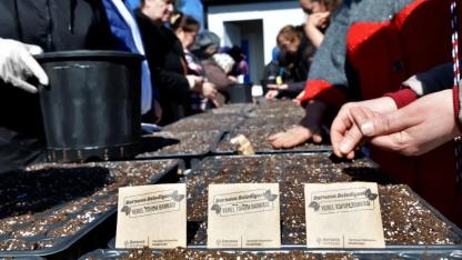 Bornova’da Kent Bostanlarında Yaz Sezonu Hazırlığı