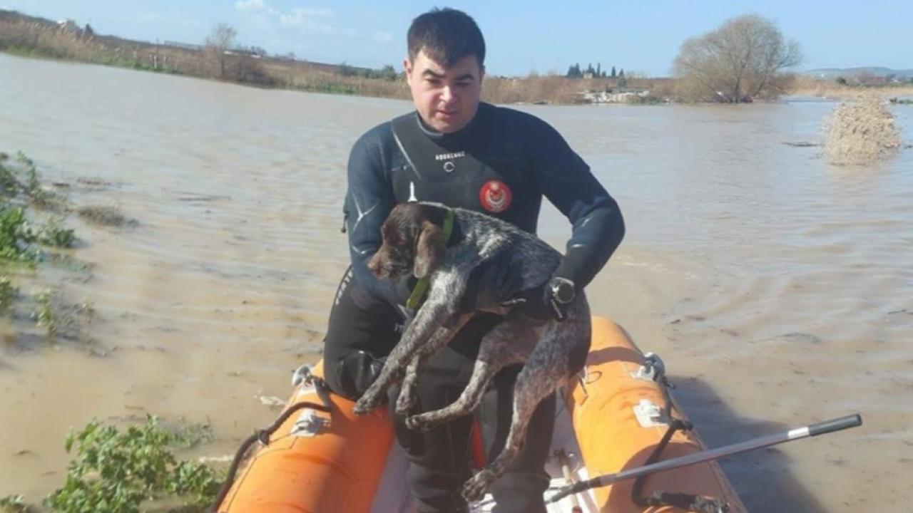 Büyükşehir'den hayvanlara yardım eli