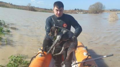 Büyükşehir'den hayvanlara yardım eli