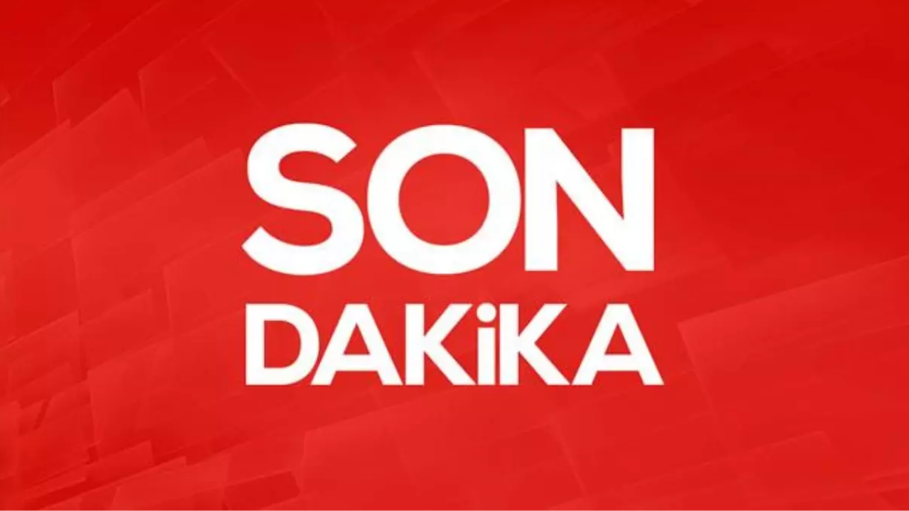 Edis yurt dışı dönüşü gözaltına alındı