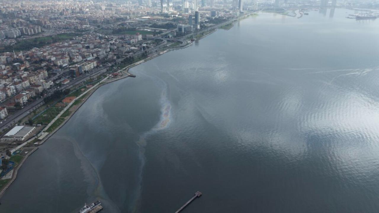 İzmir Körfezi’nde Kirlilik Alarmı
