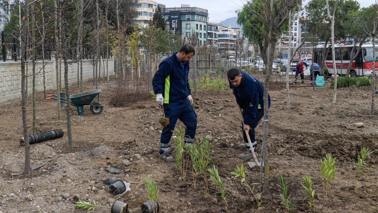 İzmir’de Atıl Alanlar Mini Ormanlara Dönüşüyor: Binlerce Ağaç Toprakla Buluştu