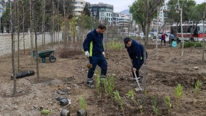 İzmir’de Atıl Alanlar Mini Ormanlara Dönüşüyor: Binlerce Ağaç Toprakla Buluştu