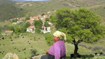 Karaburun’daki RES Kapasite Artışı Projesine Yargı Freni: ÇED Olumlu Kararı İptal