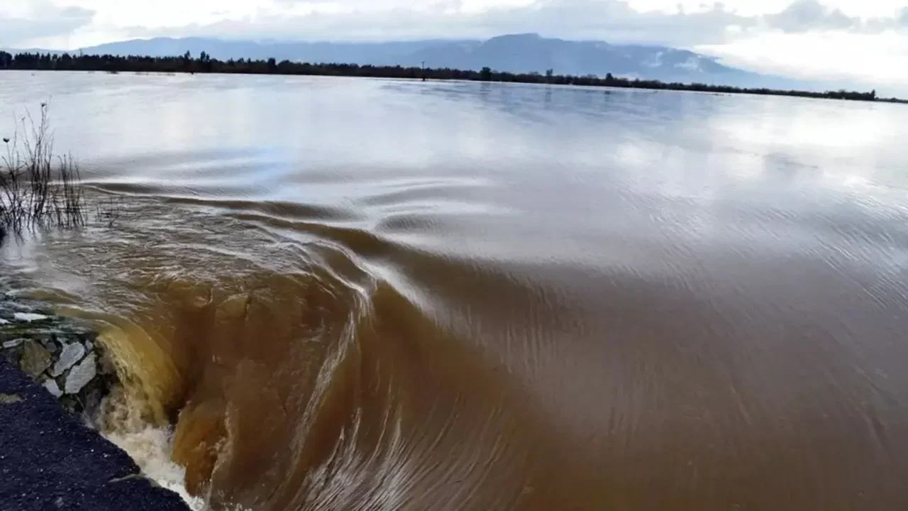 Şiddetli Yağış Kuşadası ve Söke’de Tarımı Vurdu: 46 Koyun Telef Oldu