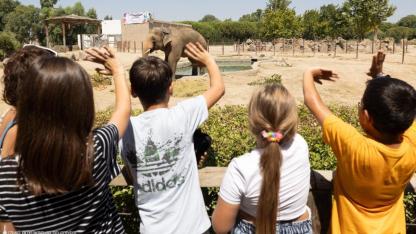 İzmir Doğal Yaşam Parkı’nda öğrencilere 23 Nisan haftası ücretsiz giriş