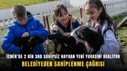 İzmir’de 2 bin 300 sahipsiz hayvan sıcak yuvasını bekliyor: Büyükşehir’den sahiplenme çağrısı