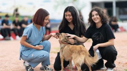 İzmir’de “satın alma, sahiplen” çağrısı: 3 bini aşkın patili dosta yeni yuva
